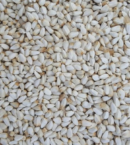 Ethiopian Safflower Seed